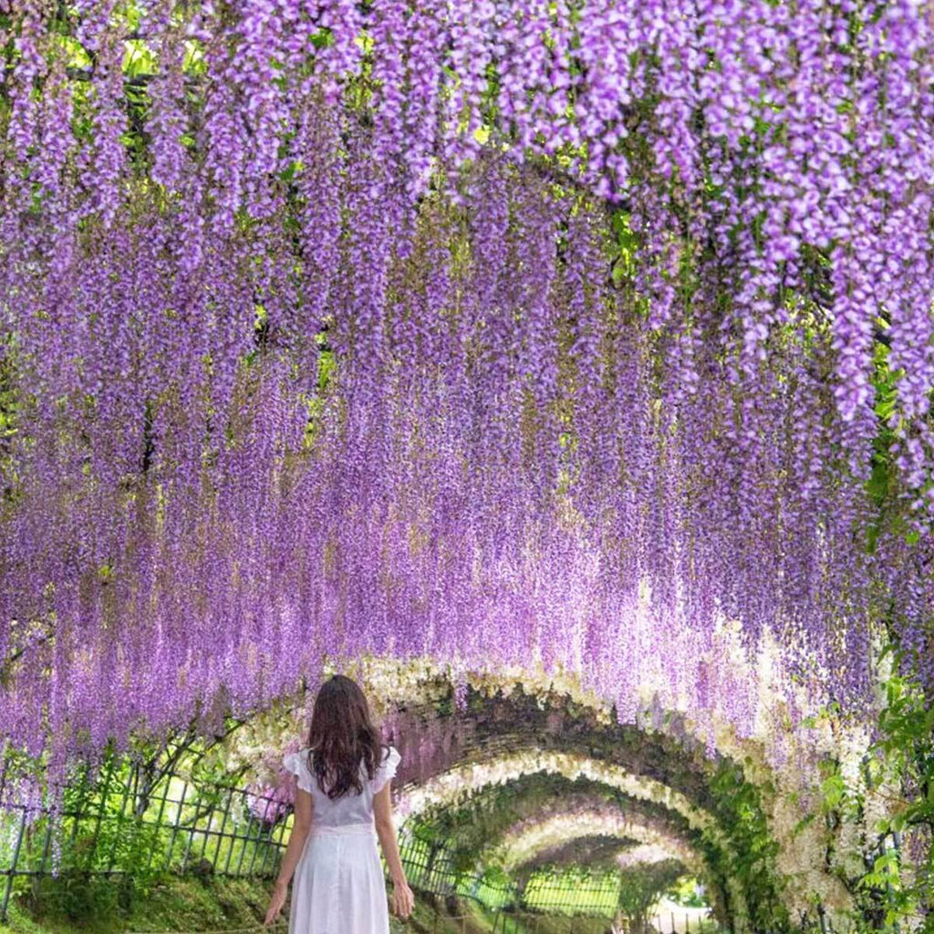 12X Artificial Fake Hanging Wisteria Silk Flowers Vine Plant Home Garden Decor